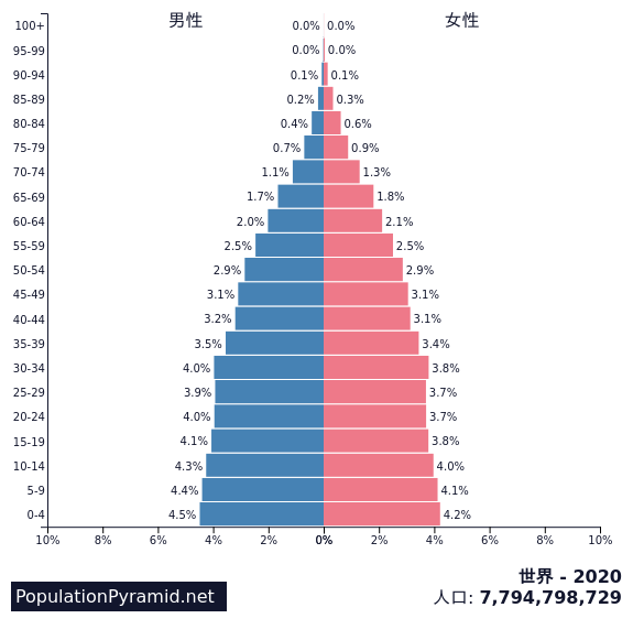 世界の人口ピラミッド